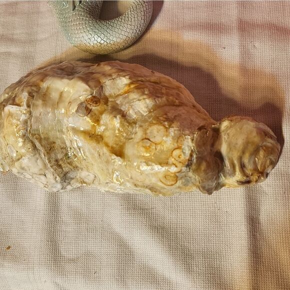 DECOUPAGE OYSTER SHELL   - Picture 6 of 6